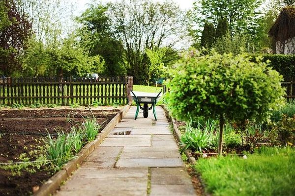 Comment entretenir son jardin au fil des saisons ?